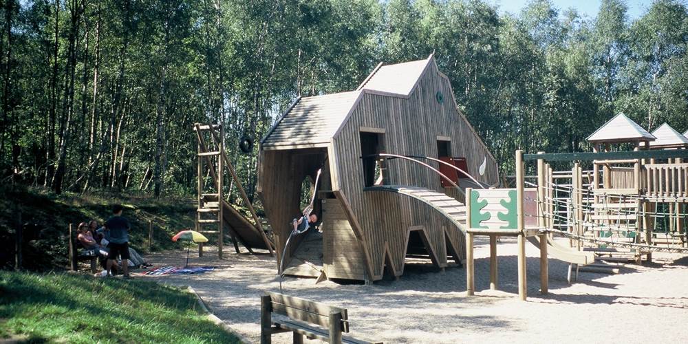 Parc plaine de jeux - sanglier