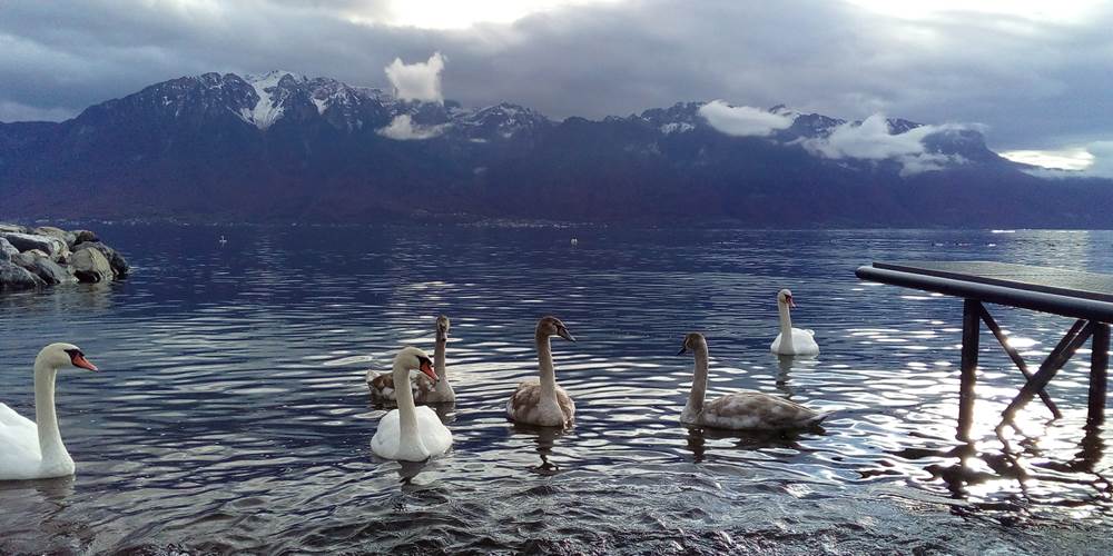 VEVEY EN SUISSE