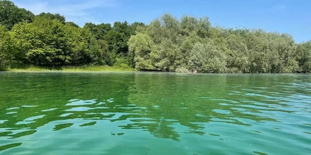 vue sur le lac du der
