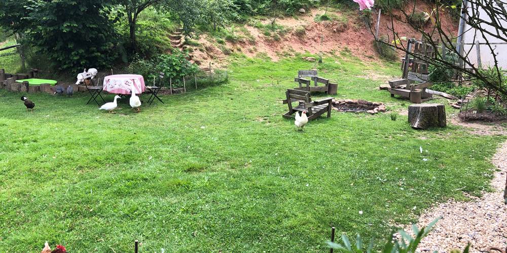 gîte à la ferme,  nos animaux en liberté