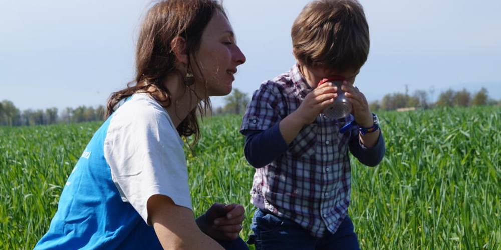 chasse aux petites betes justine et jules