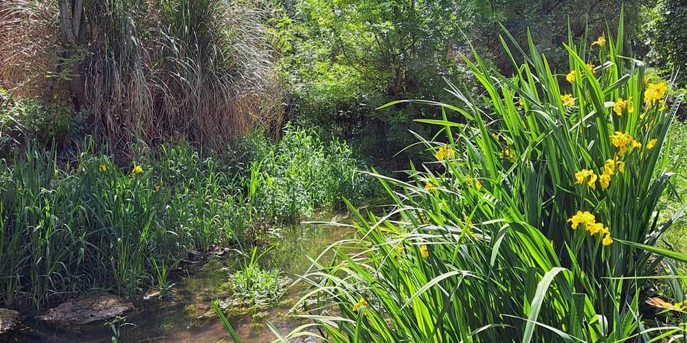Le Moulin Etourneau - La Villa des Lettres, gîte de caractère et spacieux pour 14 personnes