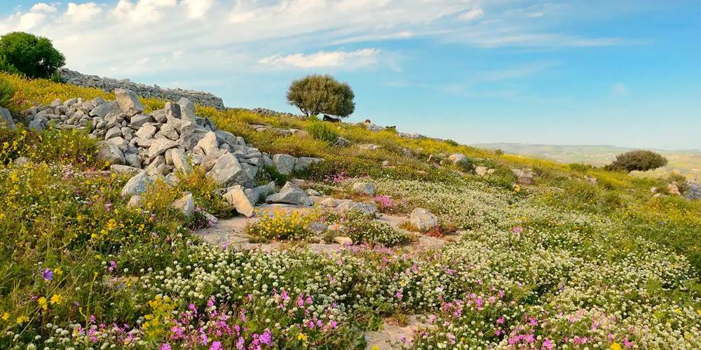 Villa Dolce Valle - Ragusa