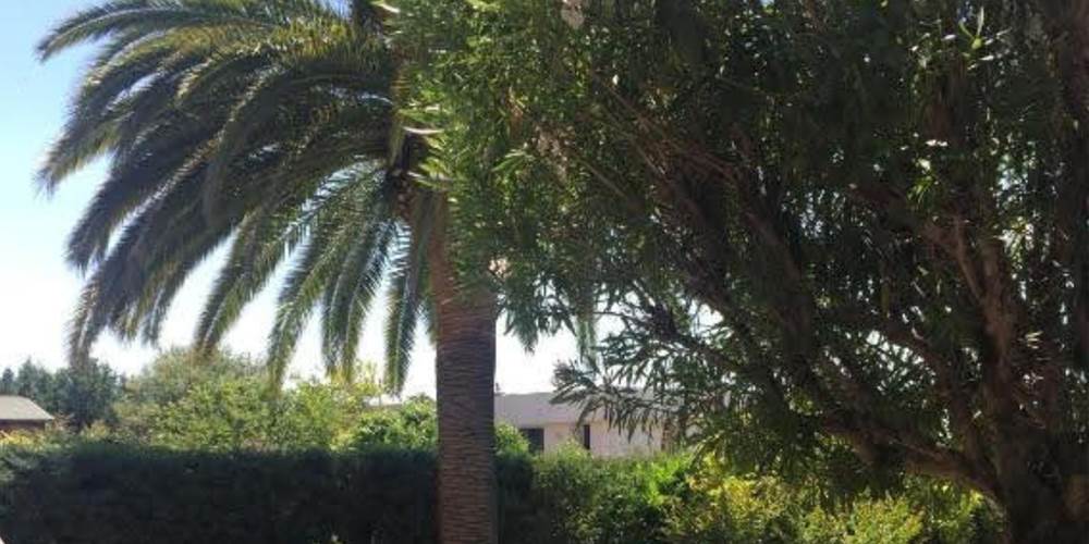 Location avec jardin et plage à Ajaccio