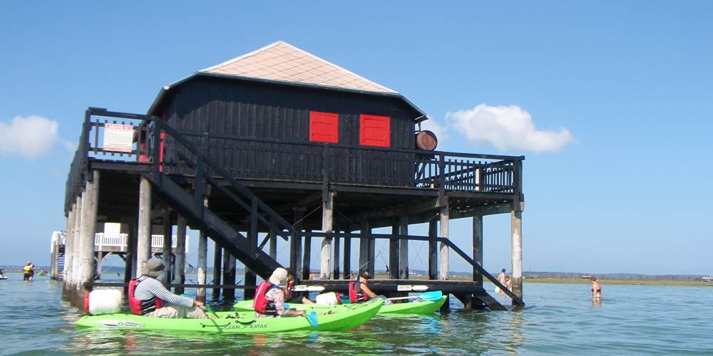 Les cabanes Tchanquées sur le Bassin d'Arcachon avec Becalou