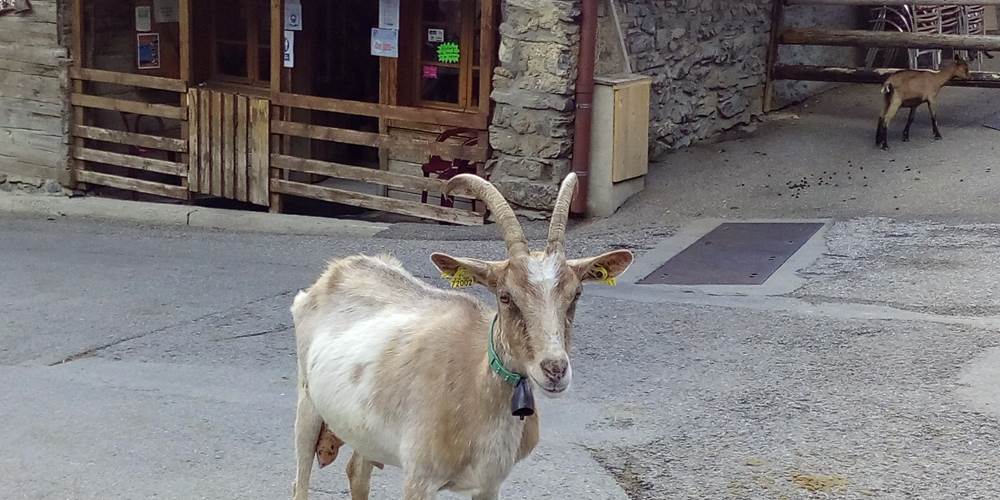 LES LINDARETS