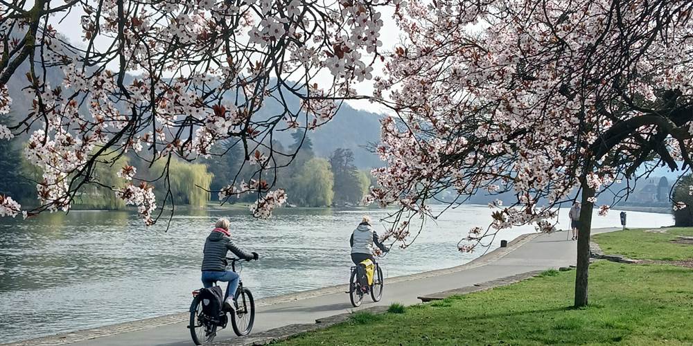 balade sur le RAVEL de la Meuse