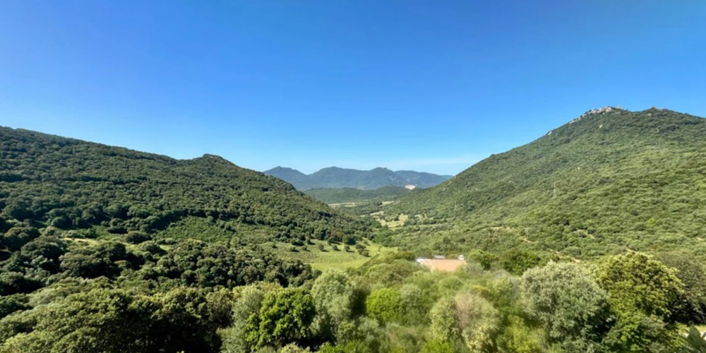 #MontagneCorseDuSud