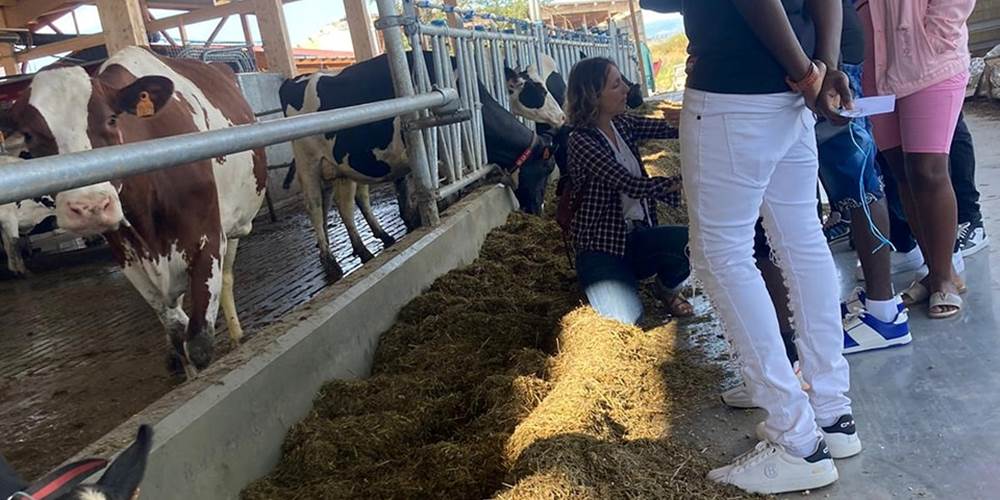 visite chantier nouvelle stabulation, ferme des délices foréziens 4