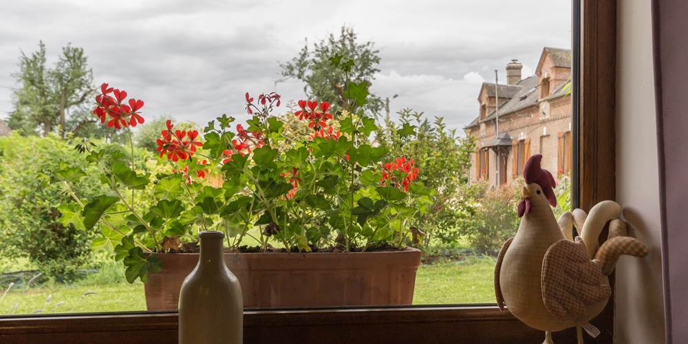 Gîte du Petit Coq - aux3nidsfleuris