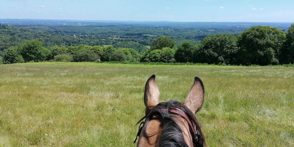 Vu sur le Limousin depuis les Monts d'Ambazac lors d'une randonnée à cheval depuis le Gîte de la Chevêche