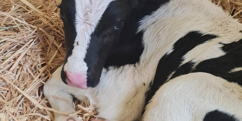 296908265_5152455824852059_4444962094623539021_n