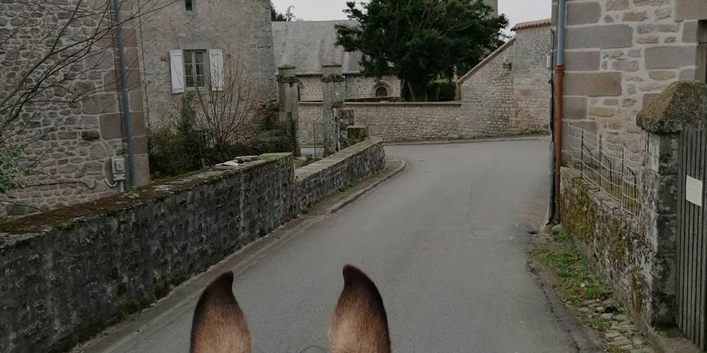 Le jolie village de Saint-Sylvestre dans les Monts du Limousin - Ferme de la Chevêche