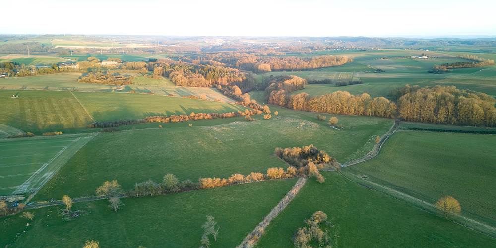 DJI_20250305181533_0018_Dbd