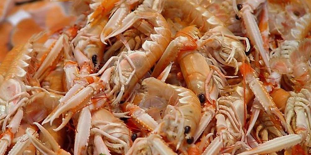 Langoustines à déguster sans modération