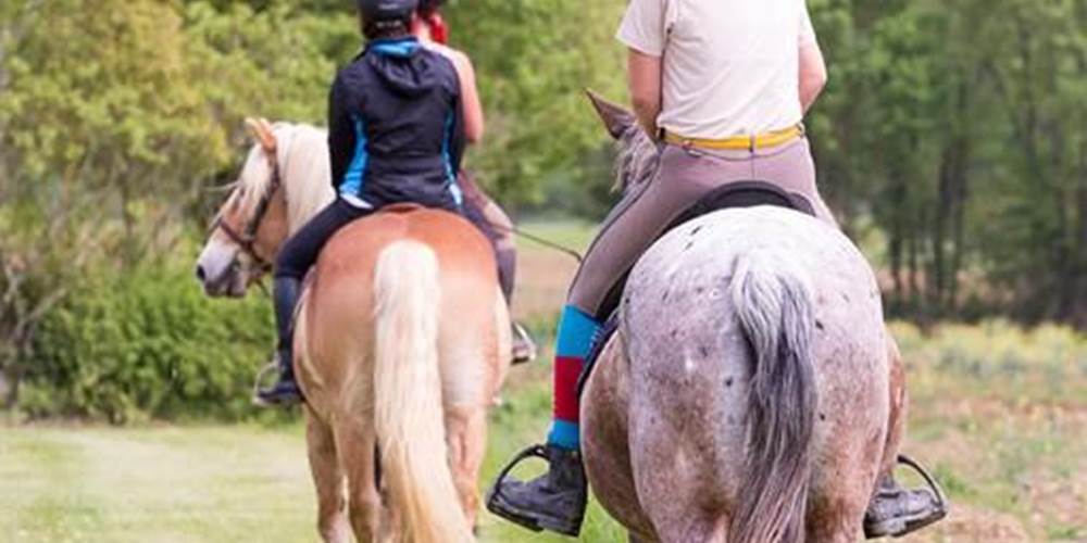 Village de Gîtes LES CHALETS DE GRAZIMIS - vacances dans le Gers - 57 equitation