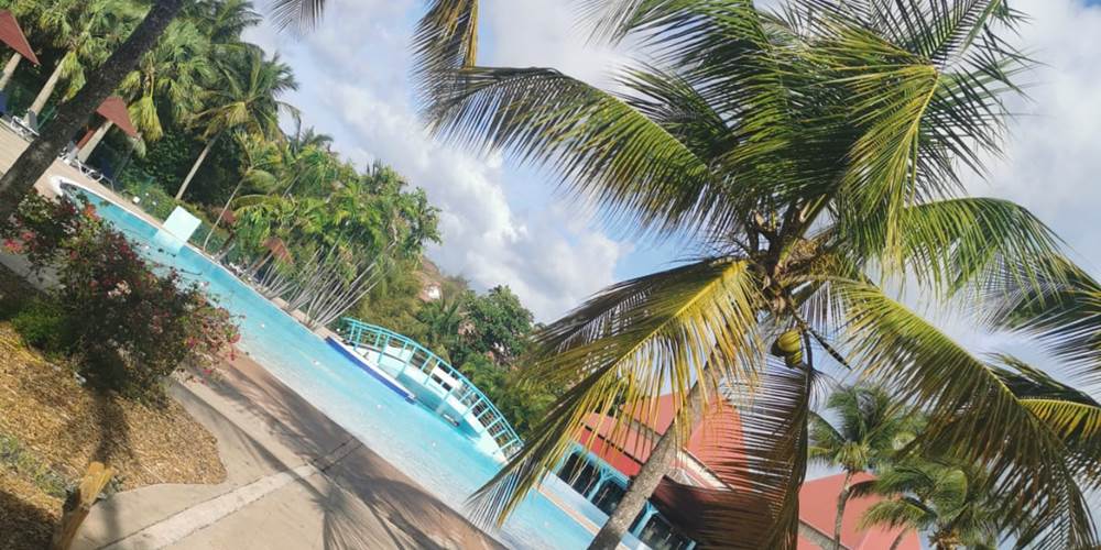 Piscine et bains de soleil