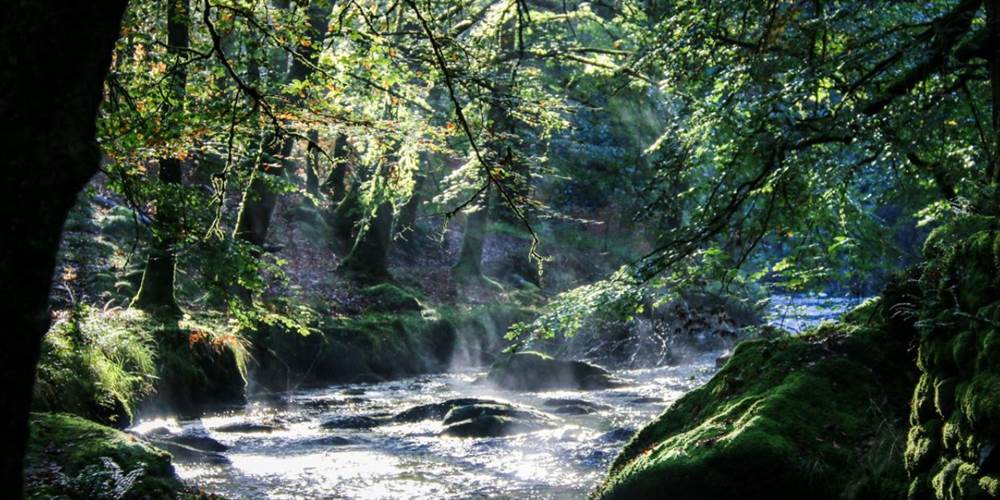 Nombreuses randonnées au départ de nos Gîtes "Le Chant des Sources" à Gimel-les-Cascades (19).