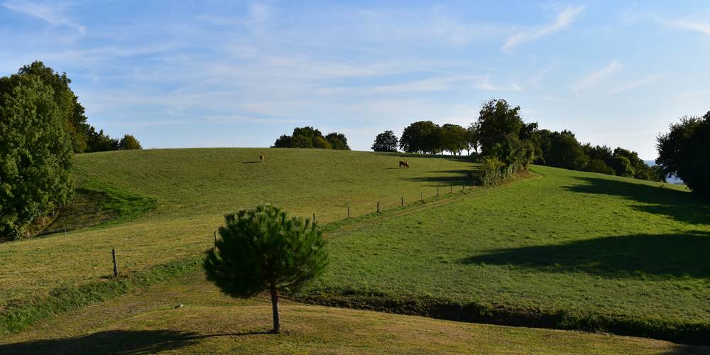 DSC_0495