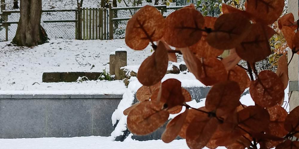 un jour de neige hébergement nature Loft du renard Namur