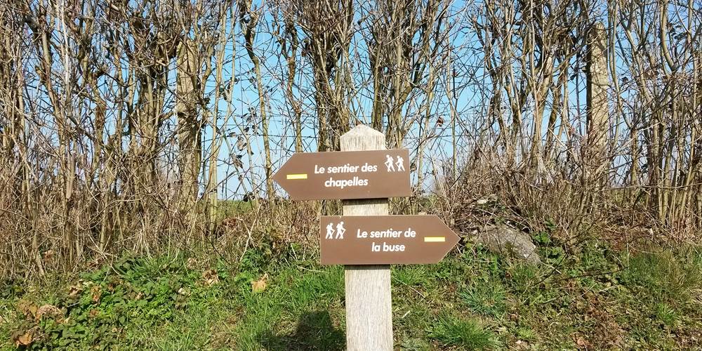 Chemins de randonnées sur place