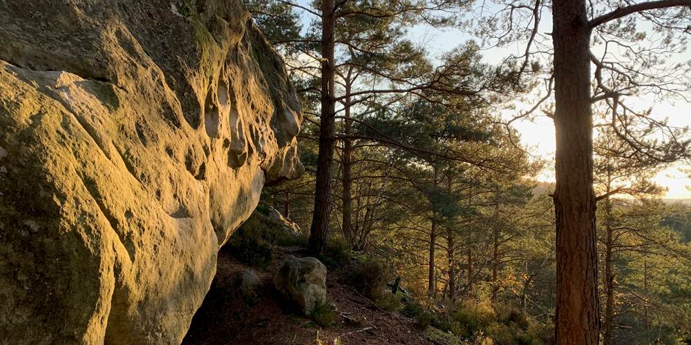 Fontainebleau boulder forest Gorge aux chats