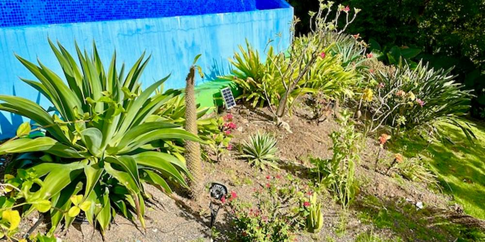 jardin2