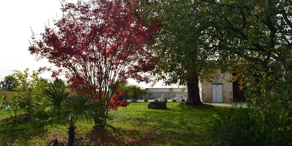 Une partie du jardin
