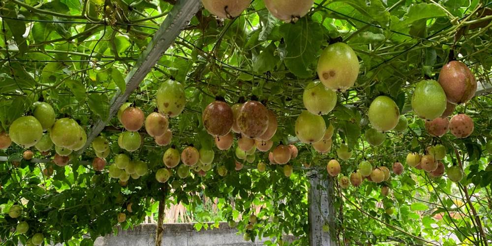 E7E8141F-3B12-4469-926C-985D7EC46B72_1_105_c