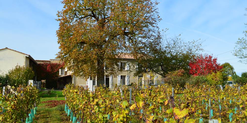 La maison depuis les vignes