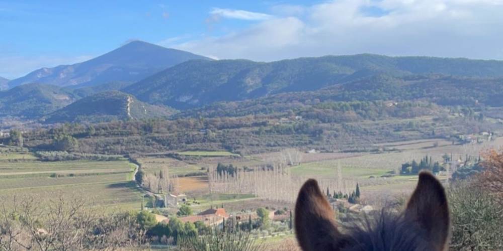 Vue du Ventoux