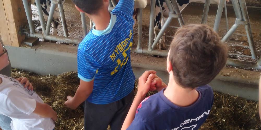 challenge fermier vache enfant