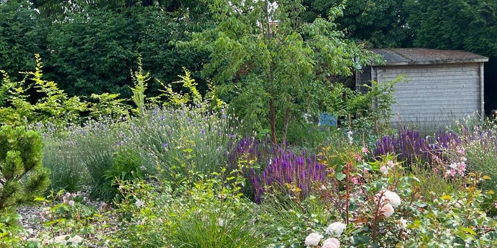 detail du jardin