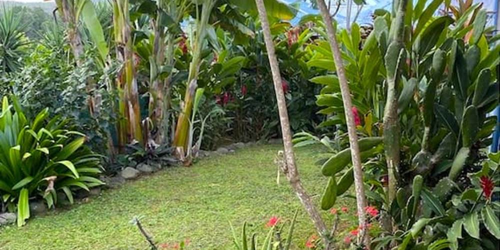 Jardin tropicale, vue sur les montagnes