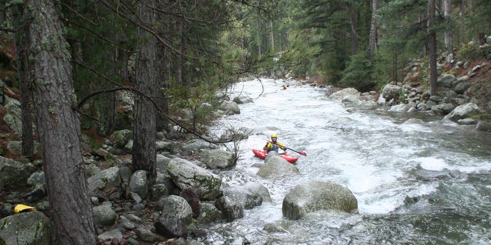 canoë kayak en rivière / forêt de Calasima