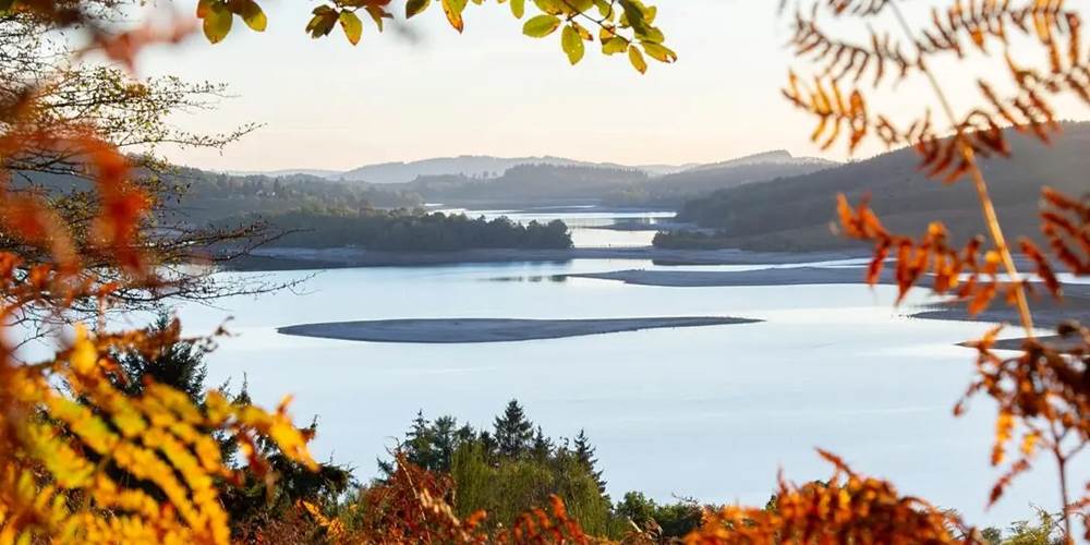 Paysage d'automne