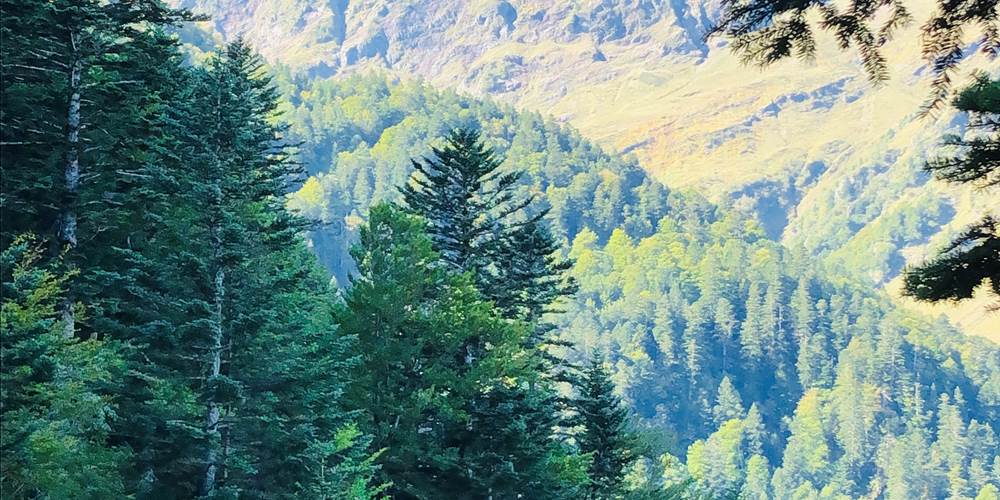 929DFD32-9F60-4CB0-9688-72ADE6786BB2_1_201_a