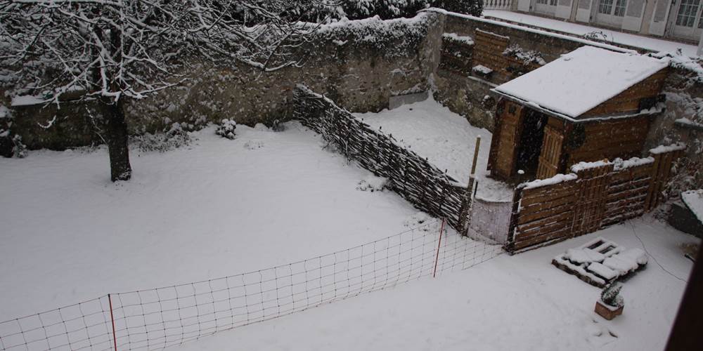 Le jardin