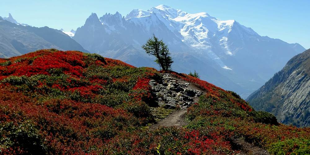 Aiguillette des Posettes - Vallorcine