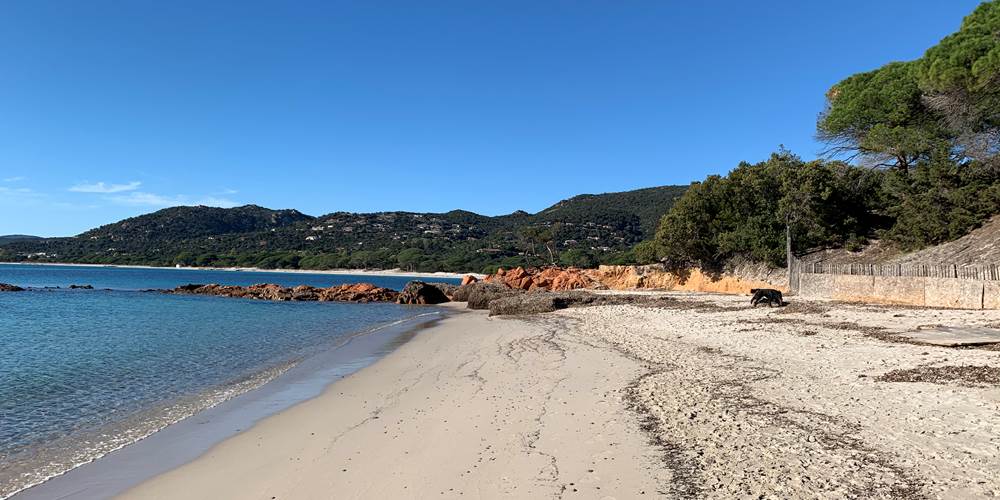 Palombaggia "mytique"