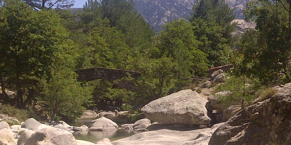 Pont de Muricciolu