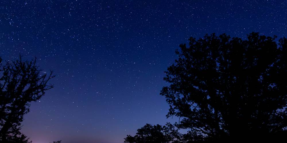 Vue nocturne du jardin : Des chênes, des érables et des étoiles