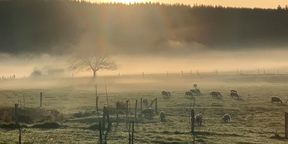 Les terres de la chouette, lever de soleil sur le domaine