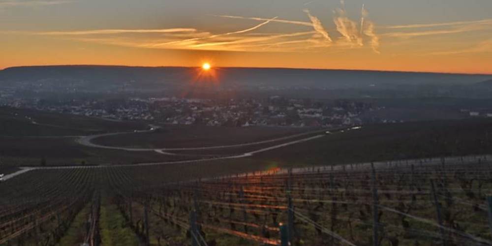 Vue champenoise