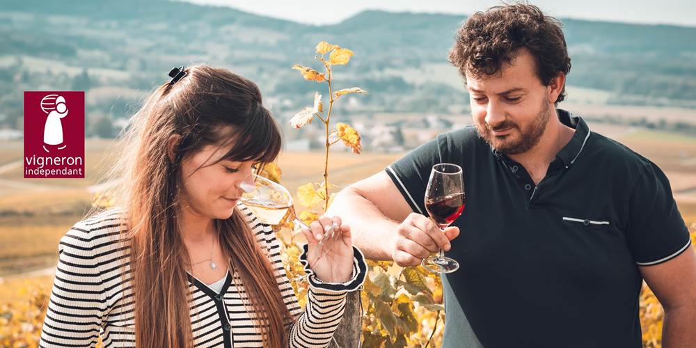 DOMAINE BAUD Génération 9 18 octobre 21 BD (13)