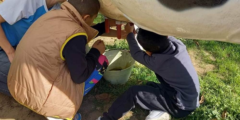 347248713_219554067490731_6754132302125858384_n