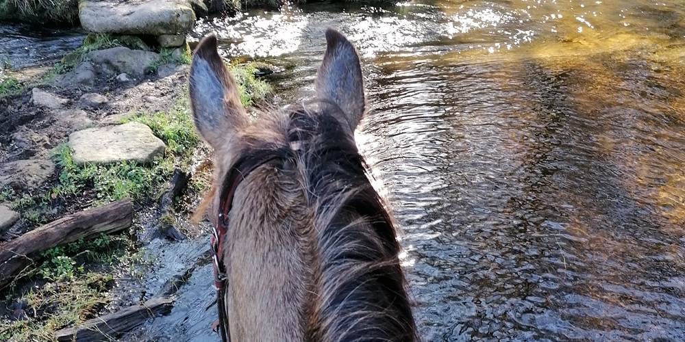 Petit pont en pierre et passage d'un gué lors d'une randonnée à cheval depuis le gîte de la Chevêche à Ambazac