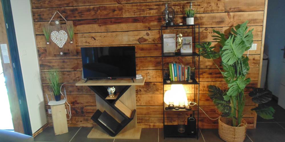 Salon avec TV connectée L'Hirondelle
