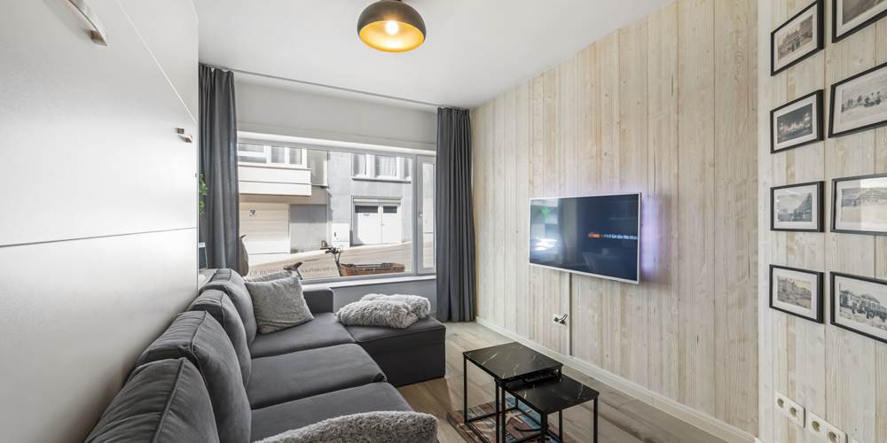 Woonkamer met televisie en uitklapbed