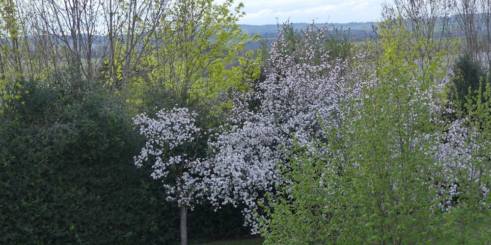 Vue de la chambre de droite à l'étage